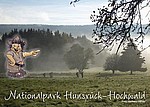 Postkarte, Willi Wurzel Waldmeister, Nationalpark Hunsrück Hochwald, Birkenfelder Land, Zauberwald