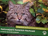 Souvenirs aus der Nationalparkregion Hunsrück Hochwald, Kugelschreiber, Lederketten und Armband mit Keltenkatze,  Heimatkrimis, Kochbuch OiE, Hunsrück Quiz, Tassen mit Nationalpark Hunsrück Hochwald Motiv, Apfelsecco, Secco aus dem Birkenfelder Land, Honig vom Imker der Region, Glücksedelsteine, Postkarten, Verschiedene Gelle aus Birkenfeld, Bildband Konrad Funk, Nationalpark Hunsrück-Hochwald, Erhältlich Tourist Information Birkenfelder Land, Nationalparkregion Hunsrück Hochwald